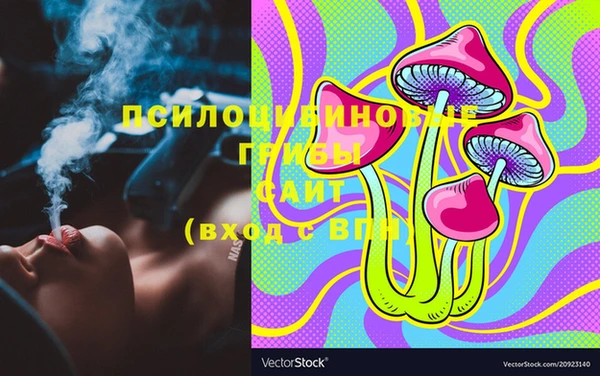 шишки Покров